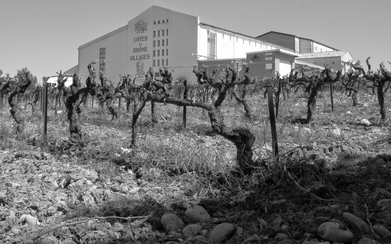 Les Vignerons D’Estezargues