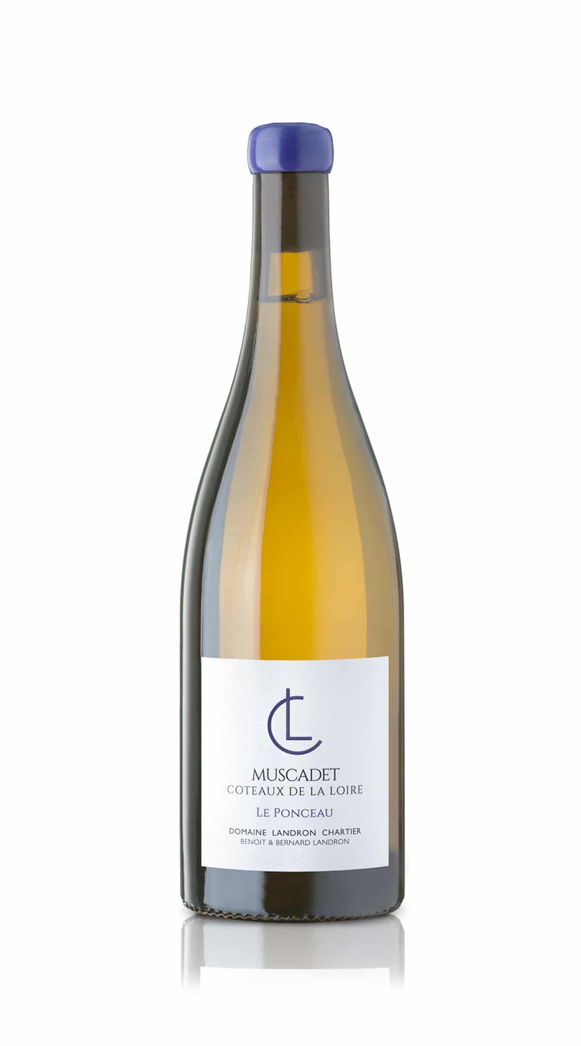 Muscadet “Melon B”