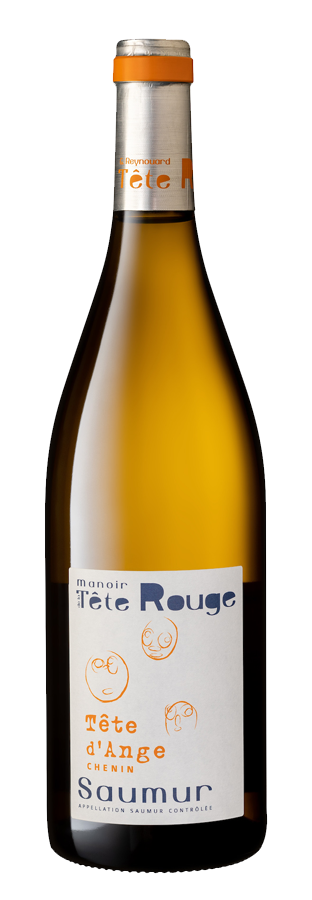 Chenin Blanc “Tête d’Ange”